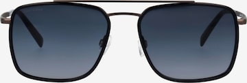 Marc O'Polo EYEWEAR Sonnenbrille in Blau: Vorderseite