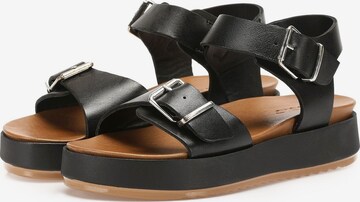 INUOVO Strap Sandals in Black