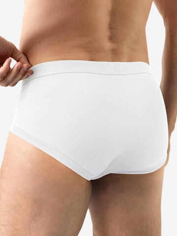 Mey Panty 'Iconic Modal' in Blue