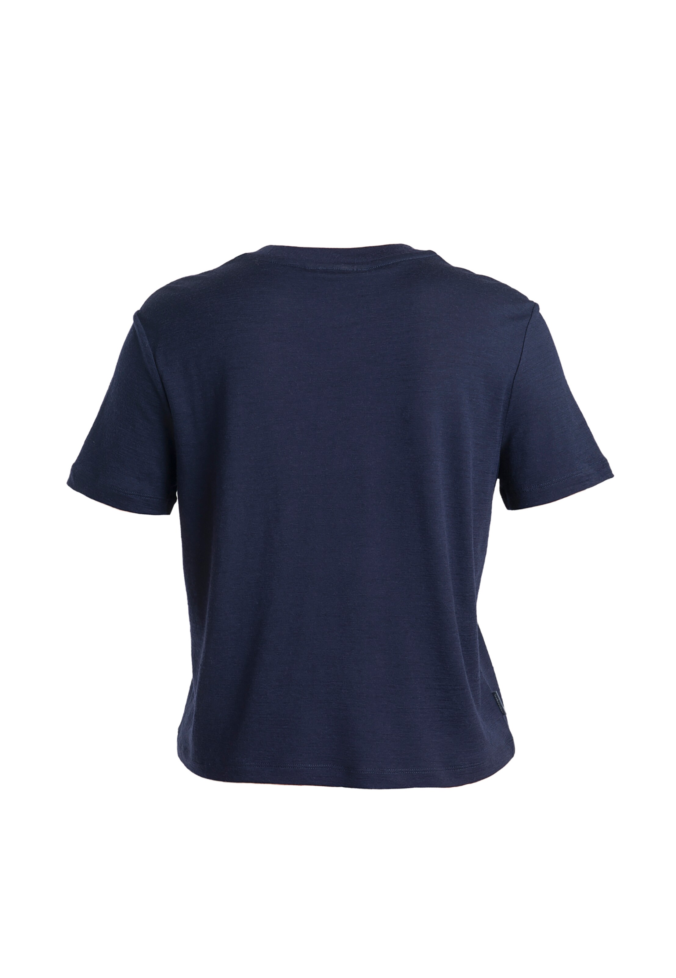 ICEBREAKER Funktionsshirt 'Tech Lite III' in Blau
