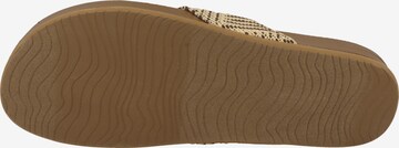 REEF Badeschuh 'Cushion Strand' in Beige