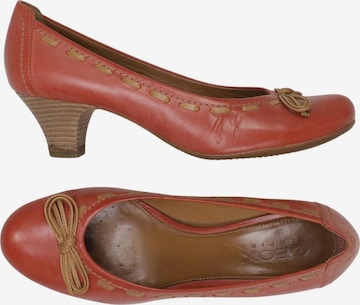 GEOX Pumps 38 in Rot: Vorderseite