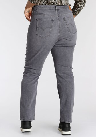 Levi's® Plus Regular Jeans in Grey