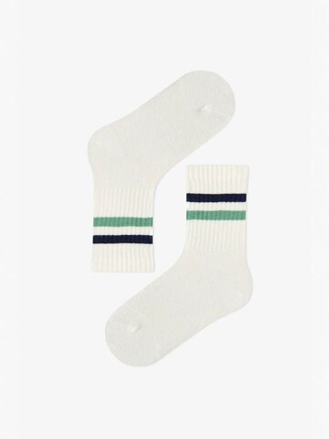 Penti Socken 'PENTI Jungen Greeny gestreifte Paar Socken'‌‌‌‌ in Mischfarben
