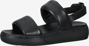 Högl Sandals in Black: front