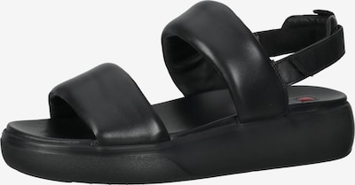 Högl Sandale in schwarz, Produktansicht