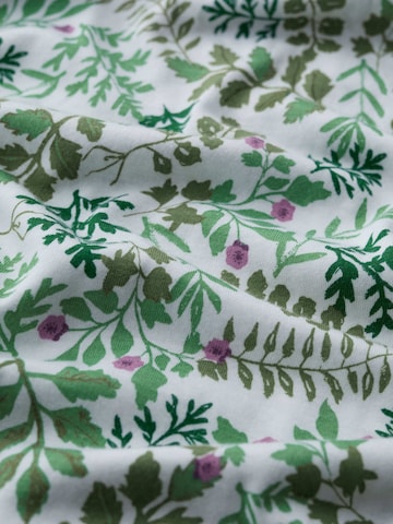 T-shirt 'Kellow' Seasalt Cornwall en vert