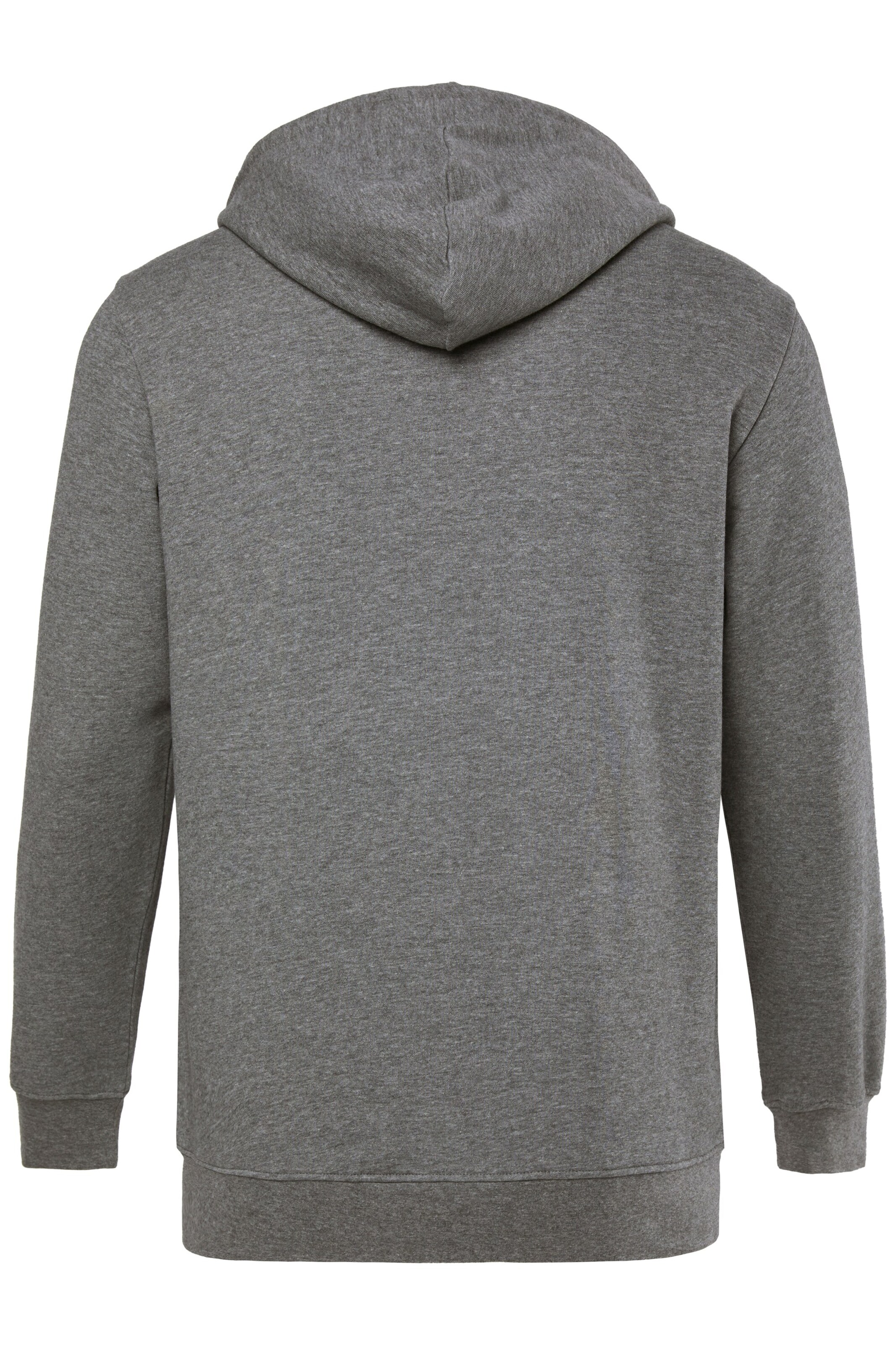 Men Plus Sweatshirt in Grijs