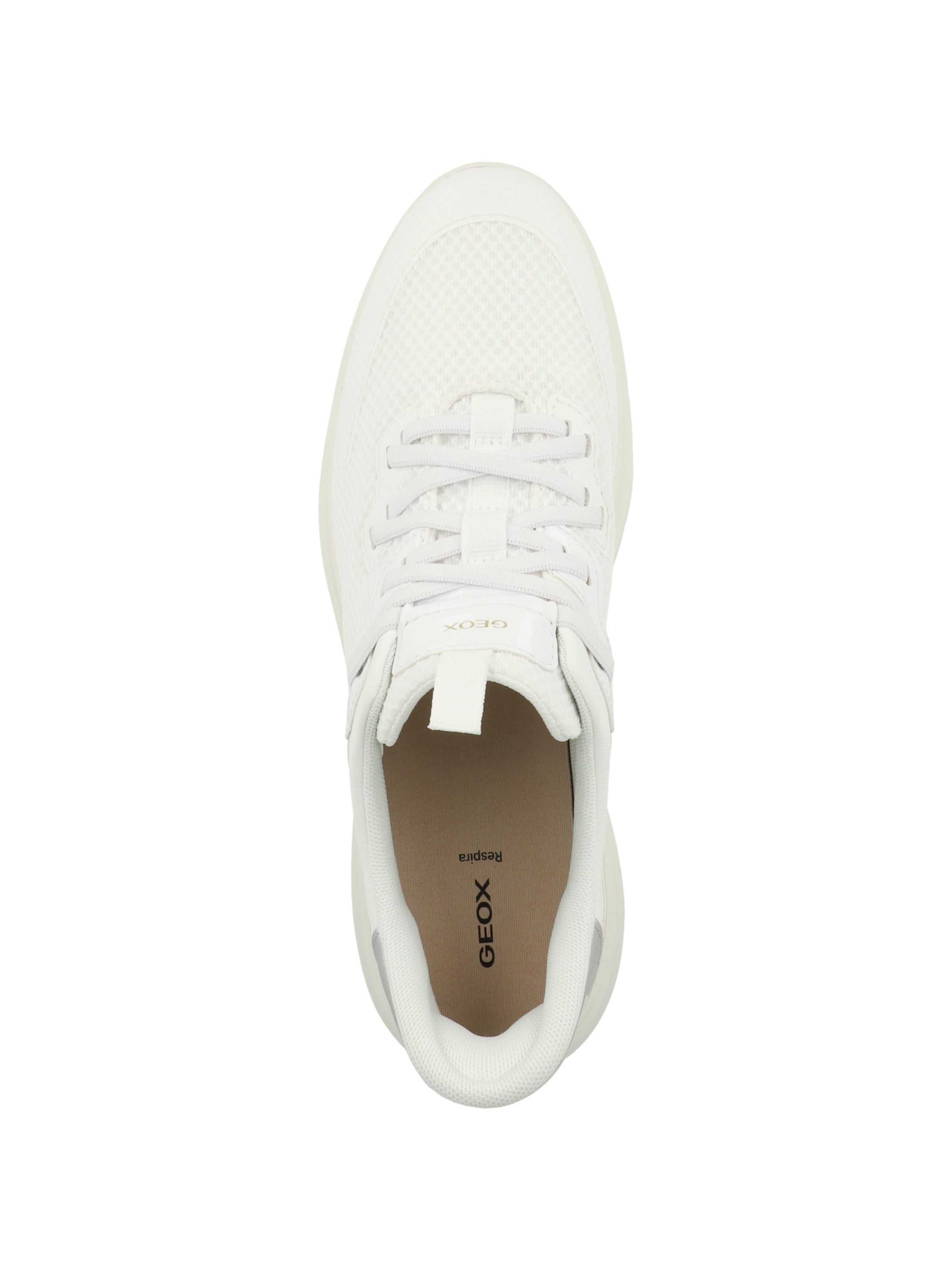 Baskets basses 'Plummery' GEOX en blanc