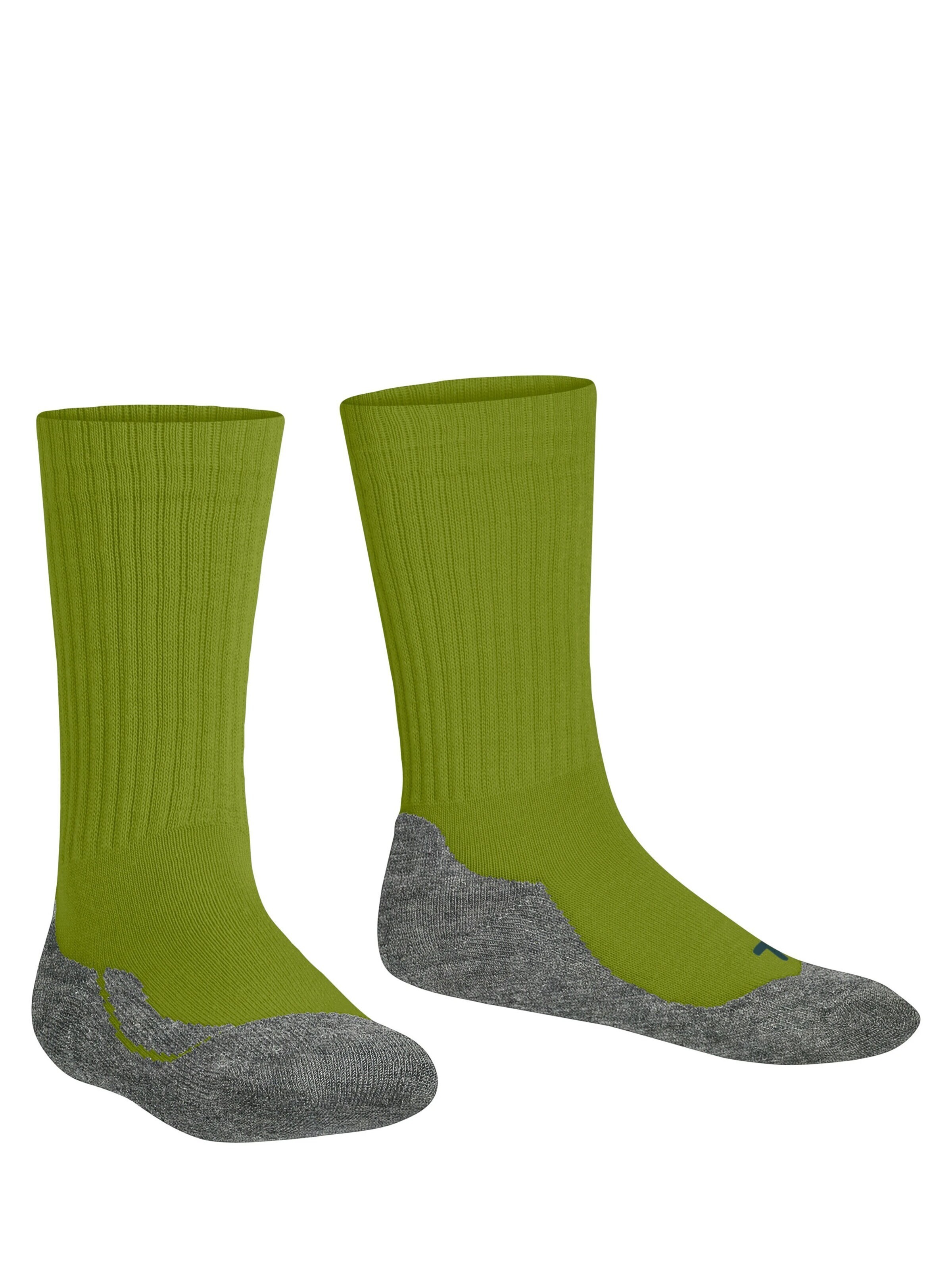 FALKE Socks 'Active Warm' in Green