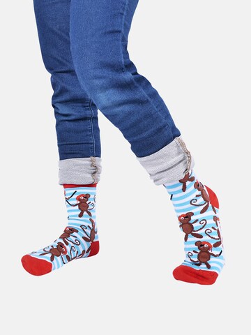 Chaussettes UNABUX en mélange de couleurs : devant