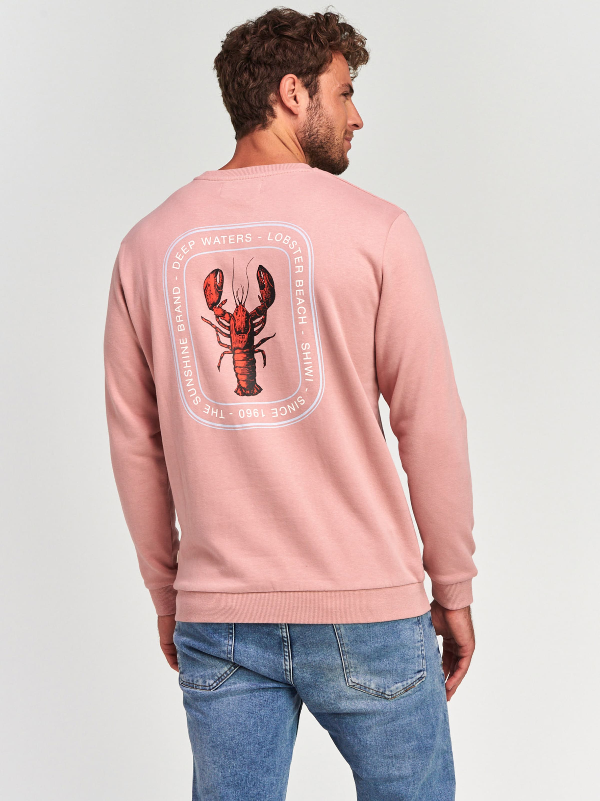 Männer Sweat Shiwi Sweatshirt 'Lobster' in Altrosa - QO73791