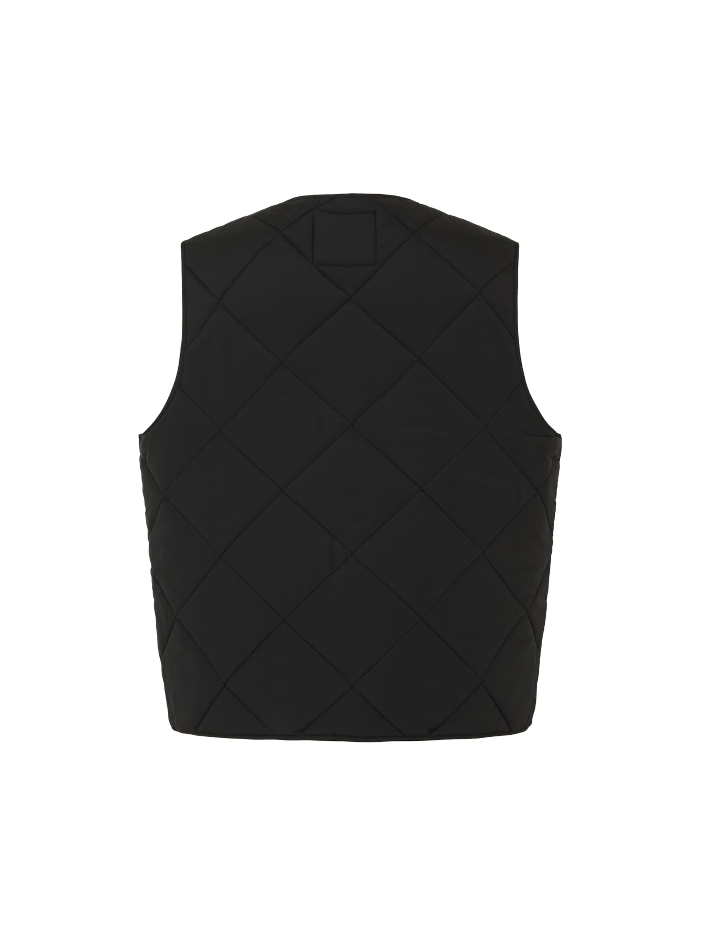 DICKIES Brezrokavnik 'Samburg' | črna barva