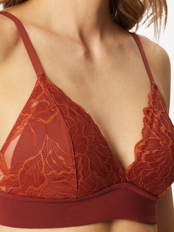 SCHIESSER T-shirt BH ' Unique Premium ' in Oranje