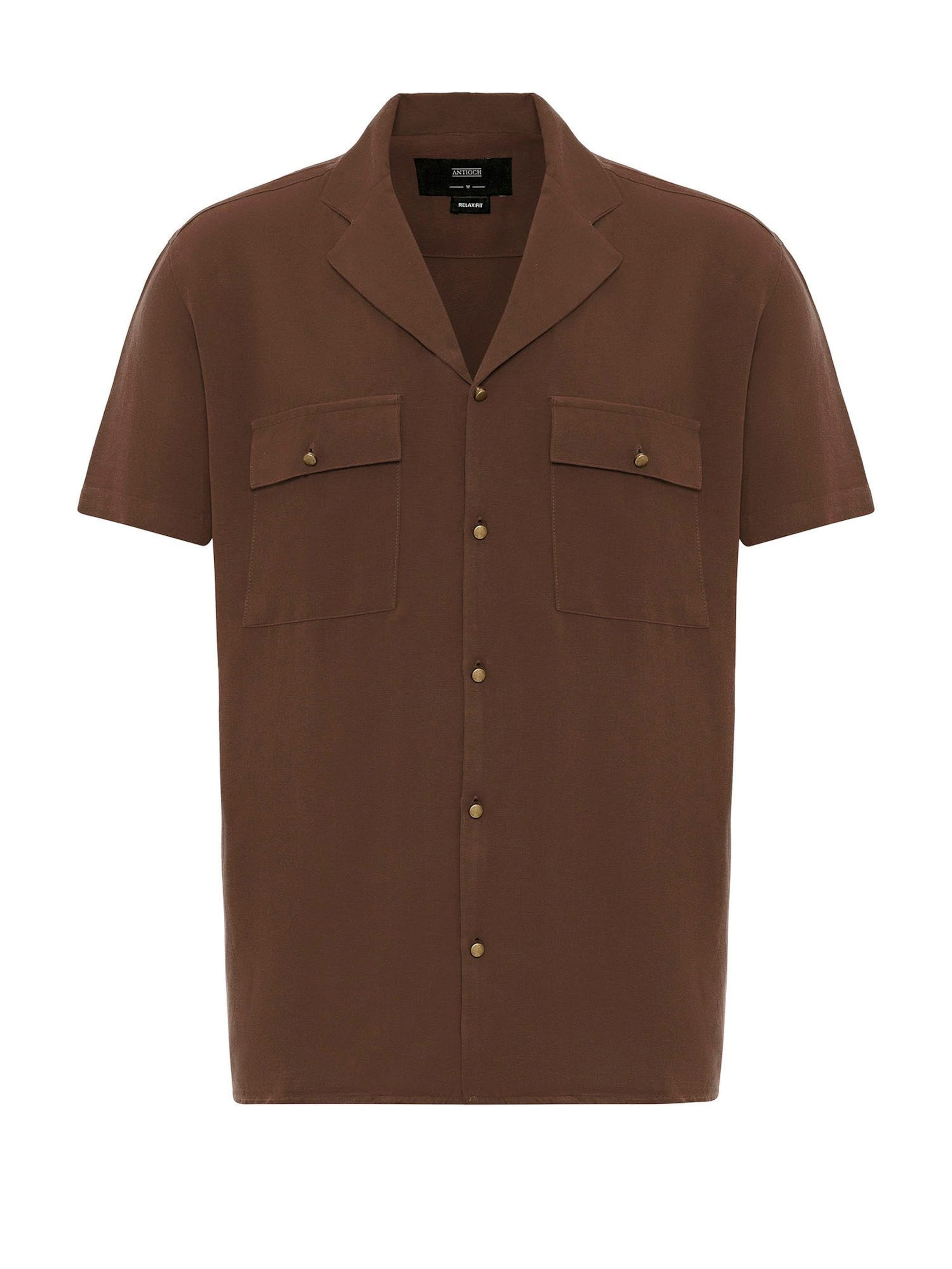 Antioch Button Up Shirt in Brown: front