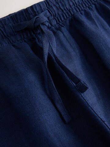 Next Regular Trousers in Blue