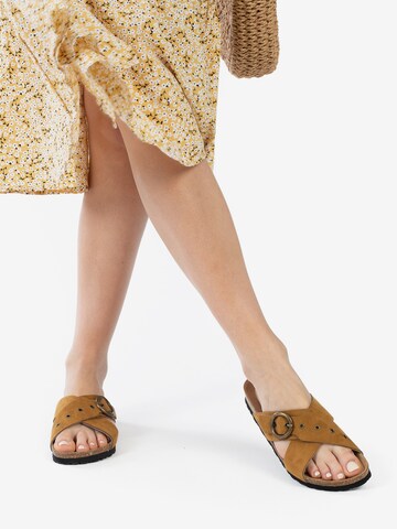 Bayton Mules in Brown: front