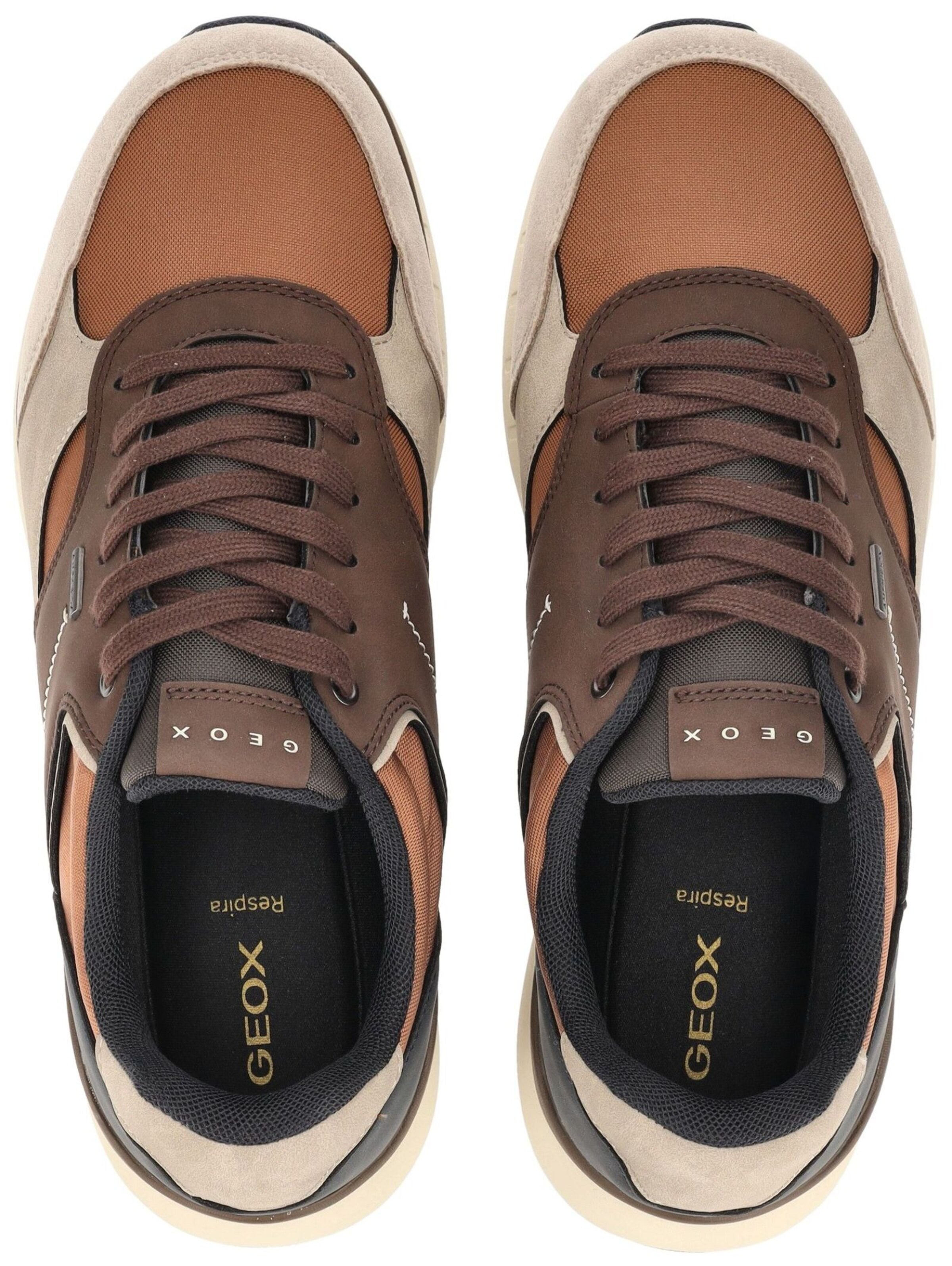 GEOX Sneaker in Braun