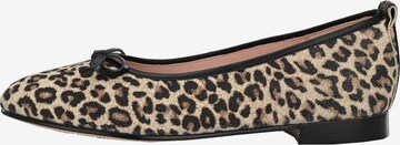 Crickit Ballet Flats ' JUANA ' in Brown