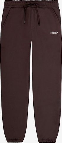 ESTEEM Jogger in Braun: Vorderseite