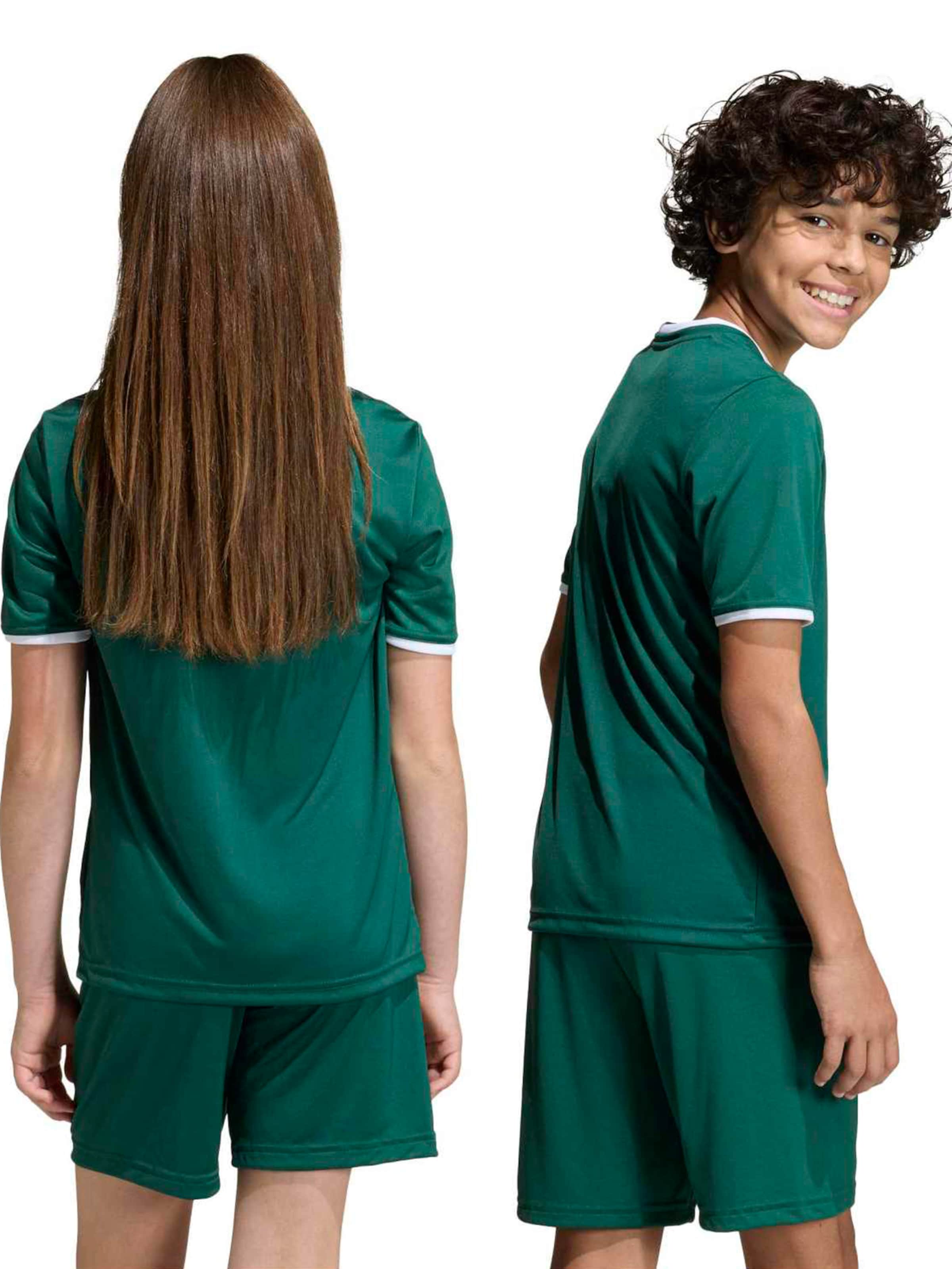 Tricou funcțional 'ENT26' de la ADIDAS PERFORMANCE pe verde