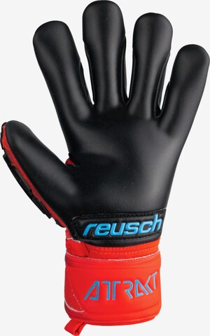REUSCH Athletic Gloves 'Attrakt Freegel Gold' in Red