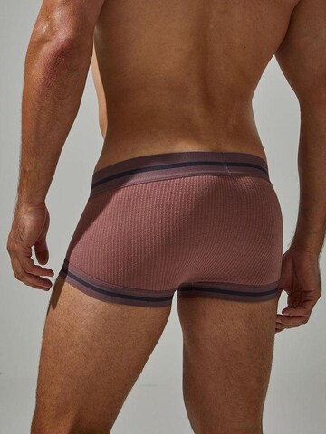 TAUWELL Boxershorts in Gold