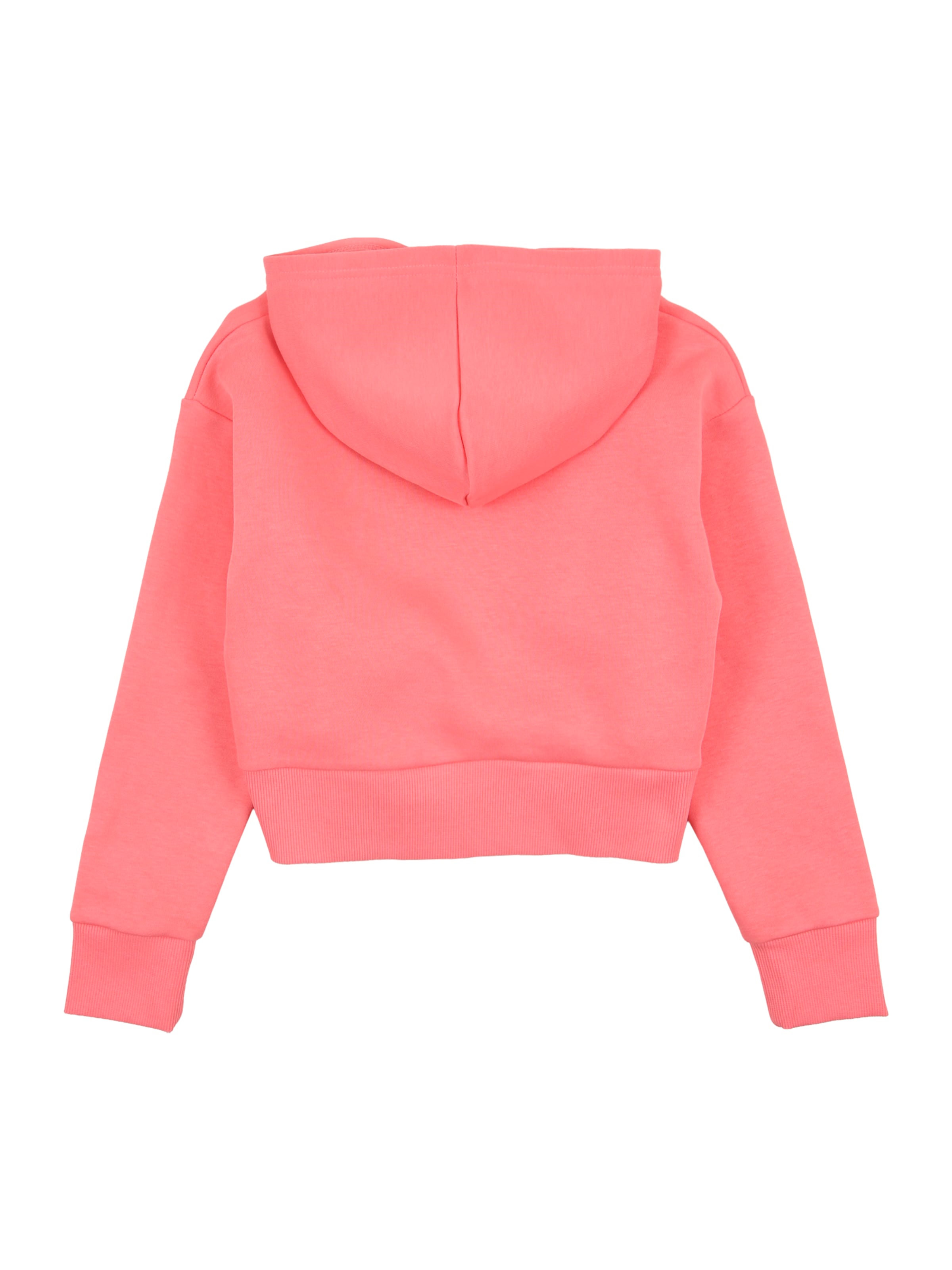 UNDER ARMOUR Sports sweatshirt 'Rival' in Pink