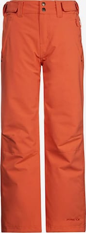 PROTEST Outdoor Pants in Orange: front