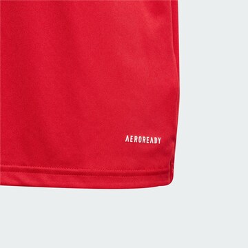ADIDAS PERFORMANCE Performance shirt 'Fortore 23' in Red