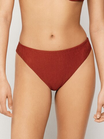 Tezenis Bikini Bottoms 'Paradise Bay' in Brown: front