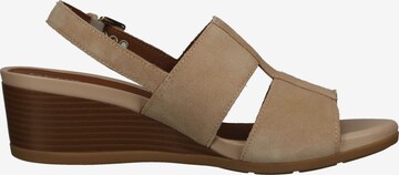 GEOX Sandals in Beige