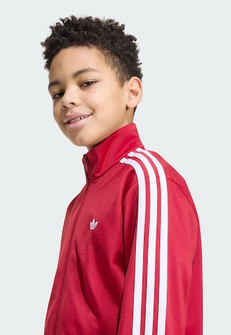 ADIDAS ORIGINALS Collegetakki 'Firebird' värissä punainen