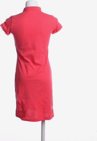 GANT Kleid S in Pink