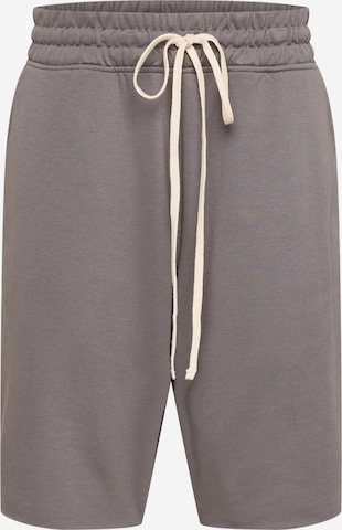 AllSaints Loosefit Kalhoty 'HELIX' – šedá: přední strana