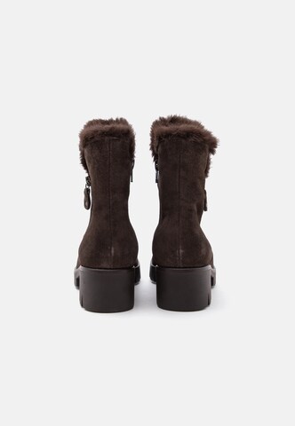 Bottines GABOR en marron