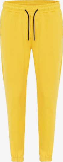 Redbridge Pants in Yellow, Item view