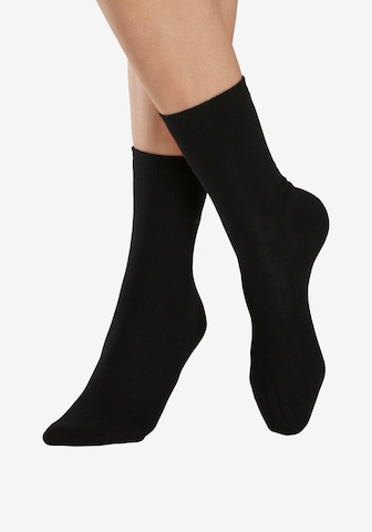 LASCANA Socks in Black