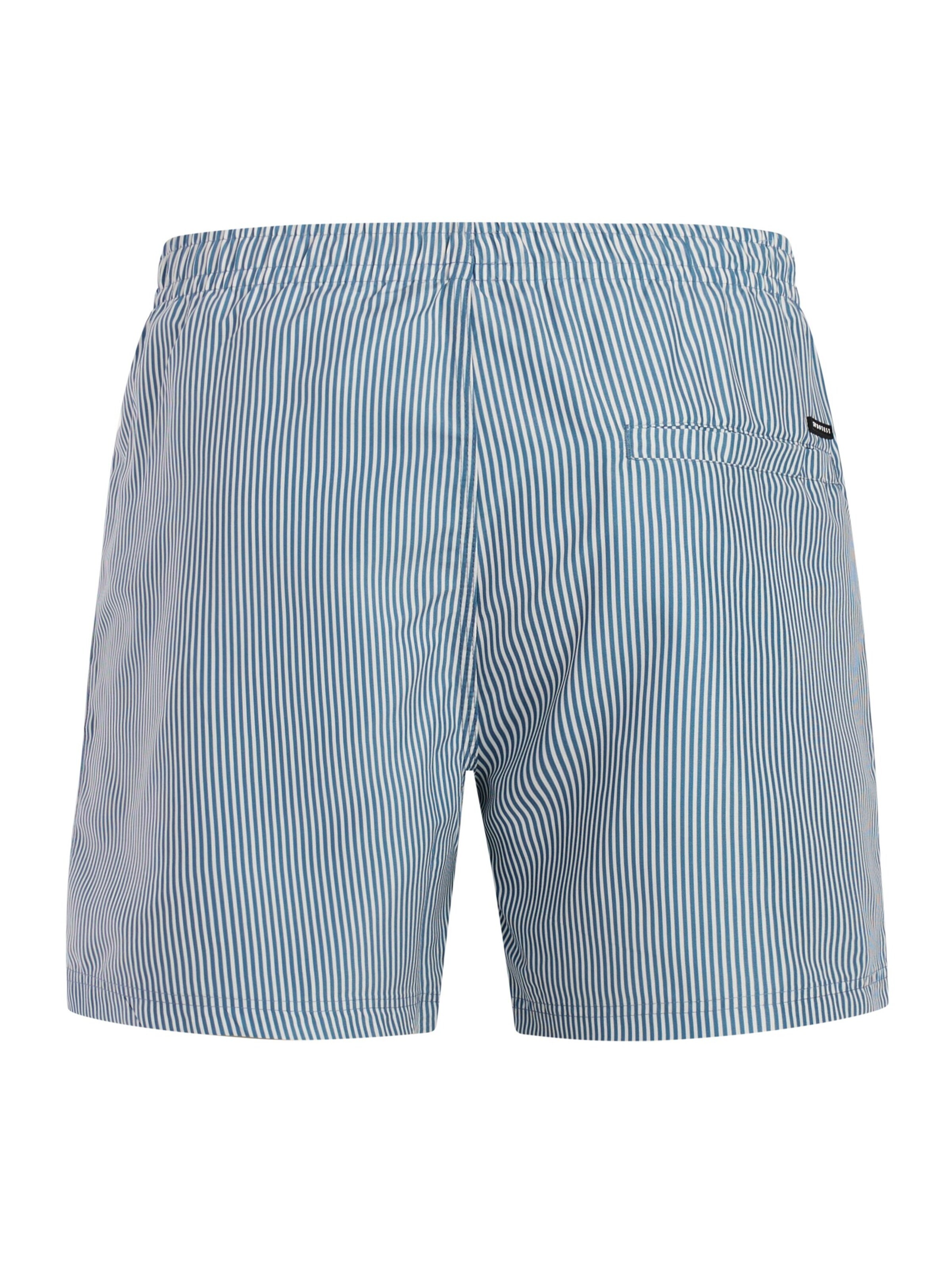 PROTEST Board Shorts 'PRTMarama' in Blue