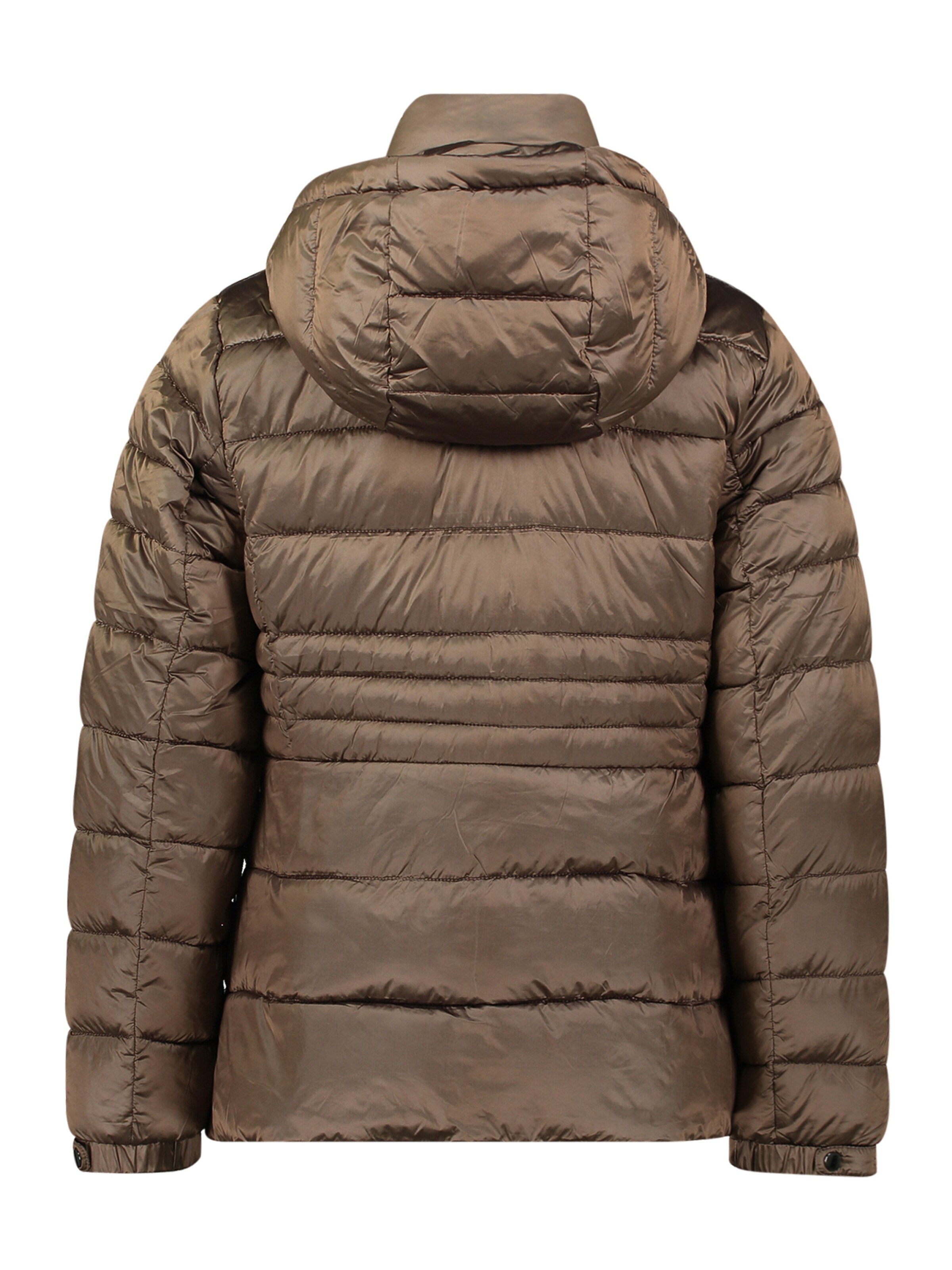 Giacca invernale di Cartoon in marrone