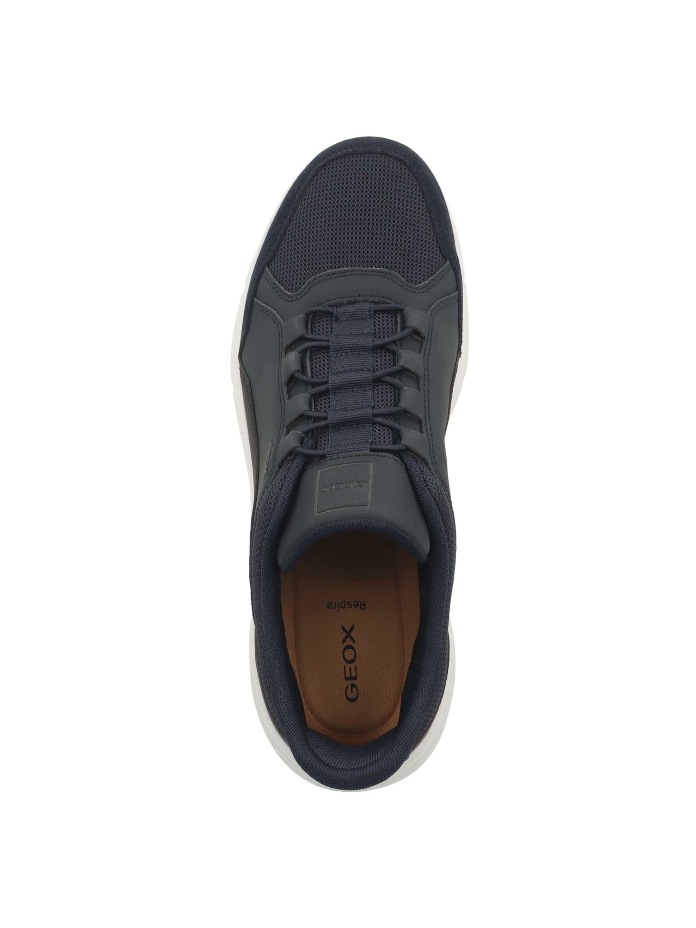 Baskets basses 'Plus A' GEOX en bleu