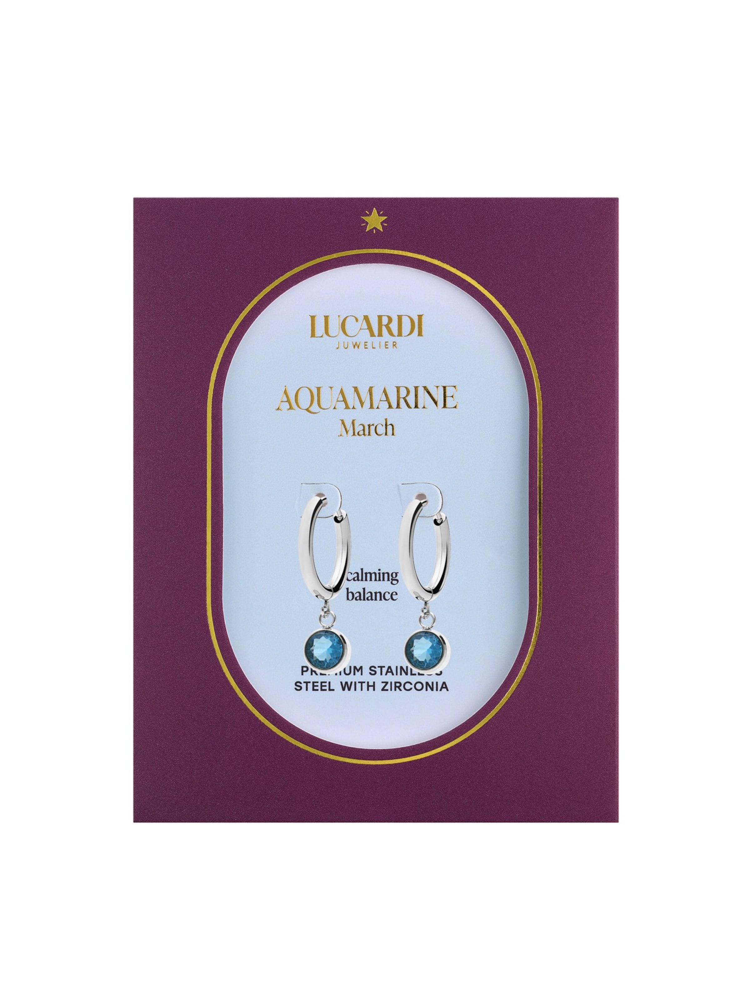 Lucardi Oorbellen in Zilver