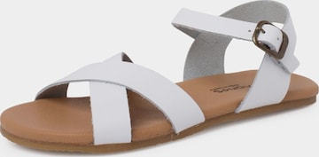 Pisamonas Sandalen in Wit: voorkant