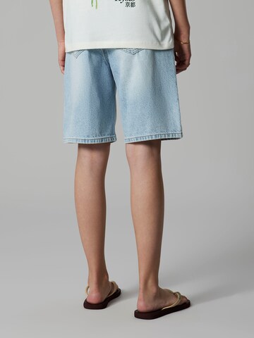 LMTD Regular Jeans 'NLNBIRM' in Blue