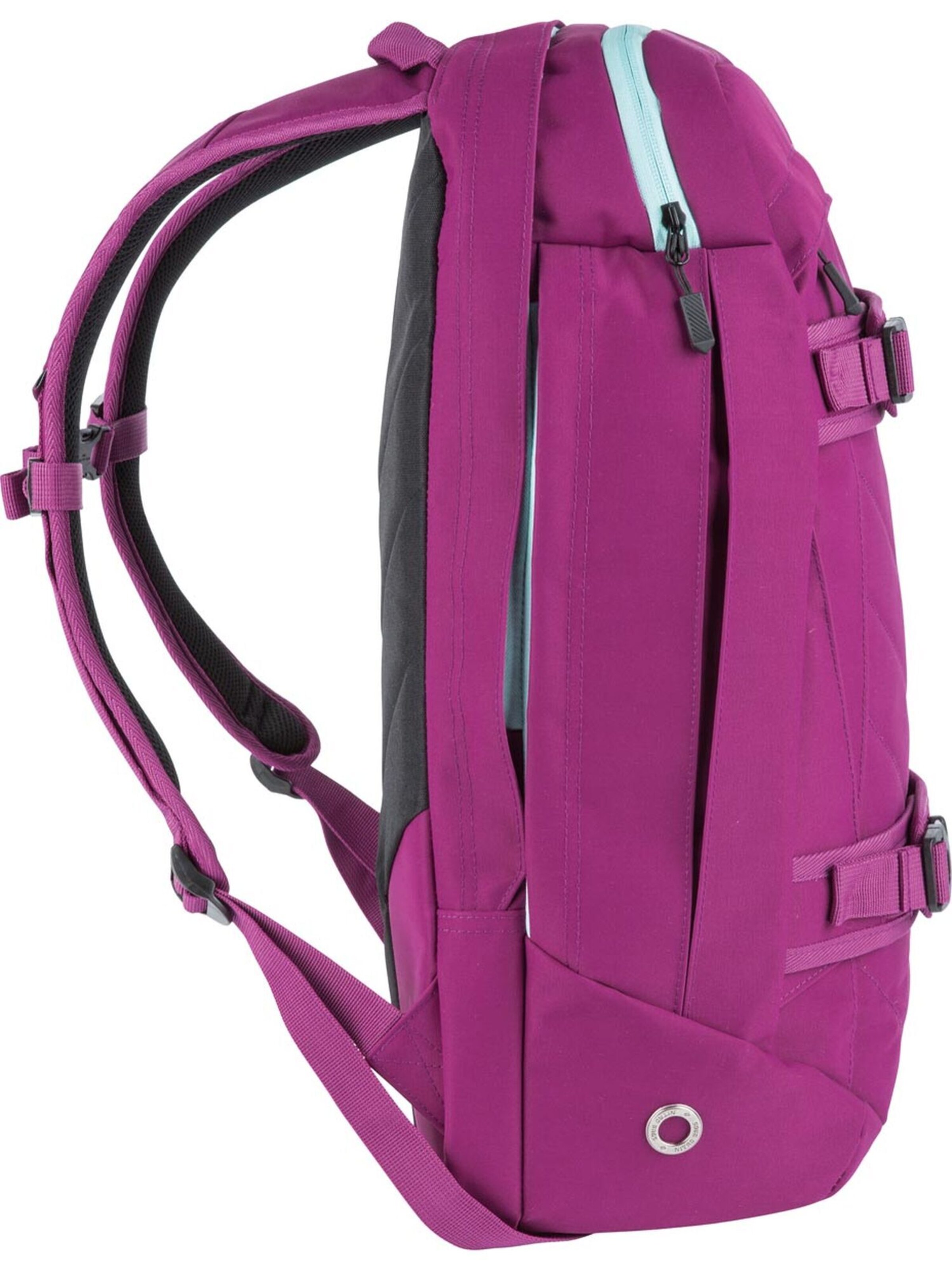 NITRO Backpack in Pink