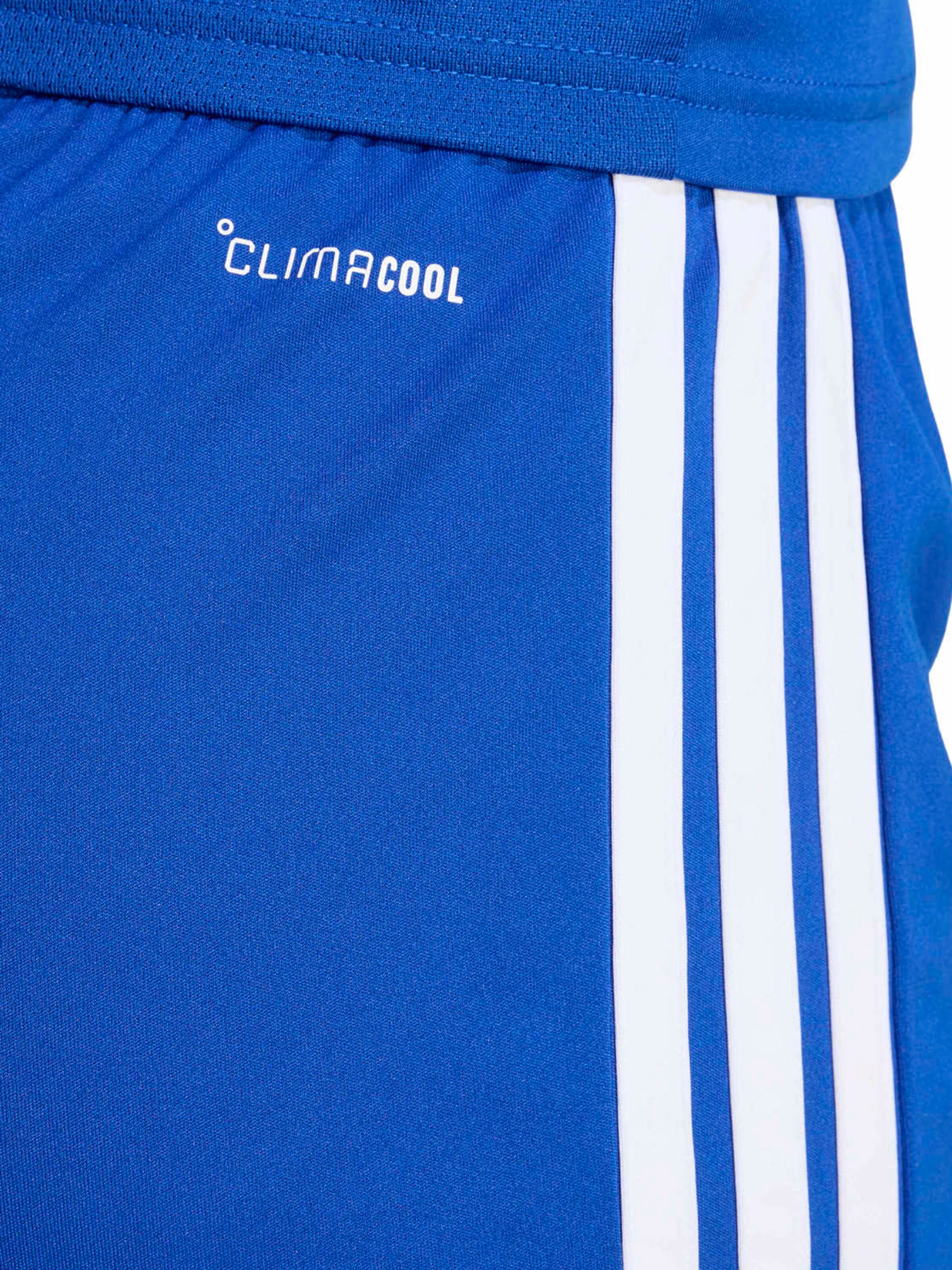 ADIDAS PERFORMANCE Обычный Спортивные штаны 'TIRO26' в Синий