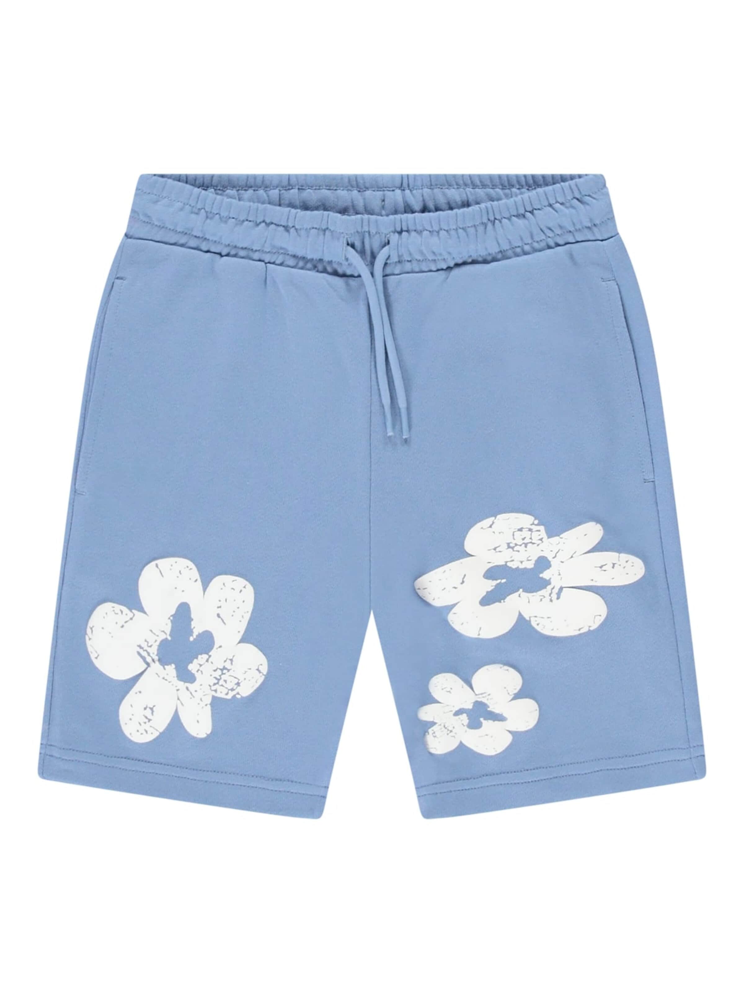 CARS Baggy Trousers in Blue: front