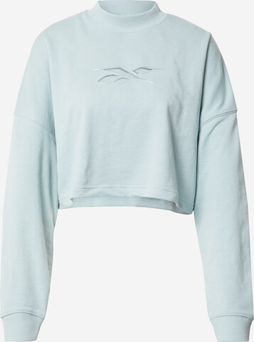 Reebok Sportsweatshirt in Grau: predná strana