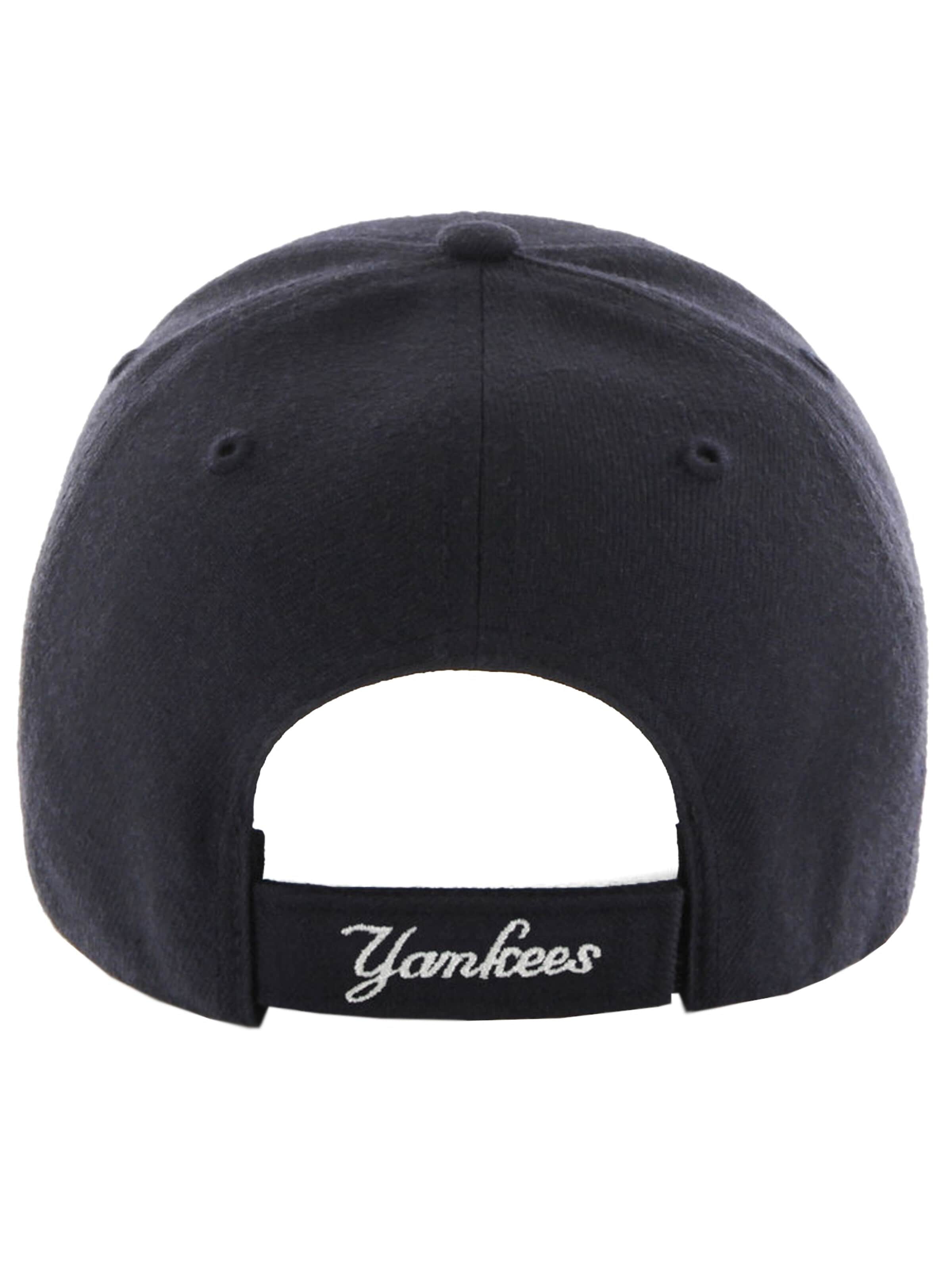 47 Pet in Blauw
