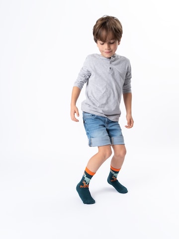 Occulto Socks 'Fantasia' in Mixed colors